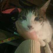 ヒメ日記 2025/11/26 21:18 投稿 さくや 素敵な女の子は好きですか？