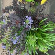 ヒメ日記 2025/08/17 10:21 投稿 菅原 おふくろ