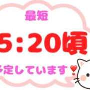 ヒメ日記 2025/03/29 13:08 投稿 なつき 木更津人妻花壇
