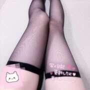 ヒメ日記 2025/06/14 14:41 投稿 もこ るっきんぐらぶ