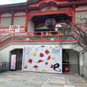 ヒメ日記 2025/01/14 14:42 投稿 原田あおい Guilty concept A