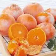 ヒメ日記 2025/01/25 17:28 投稿 原田あおい Guilty concept A