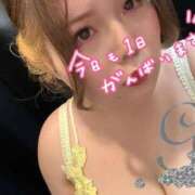 ヒメ日記 2025/01/28 09:01 投稿 原田あおい Guilty concept A