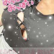 ヒメ日記 2025/04/04 17:21 投稿 原田あおい Guilty concept A