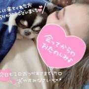 ヒメ日記 2025/01/19 02:00 投稿 成瀬なる Guilty concept A