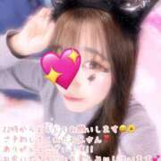 ヒメ日記 2024/12/11 21:46 投稿 ヒマリ エピソード(品川)