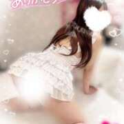 ヒメ日記 2025/02/06 14:01 投稿 ヒマリ エピソード(品川)