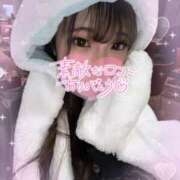 ヒメ日記 2025/02/09 14:01 投稿 ヒマリ エピソード(品川)