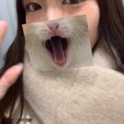 ヒメ日記 2025/02/11 22:16 投稿 ヒマリ エピソード(品川)