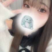 ヒメ日記 2025/02/16 12:31 投稿 ヒマリ エピソード(品川)