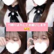 ヒメ日記 2025/02/20 19:16 投稿 ヒマリ エピソード(品川)