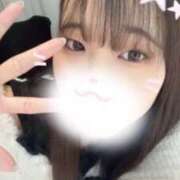 ヒメ日記 2025/02/20 21:16 投稿 ヒマリ エピソード(品川)