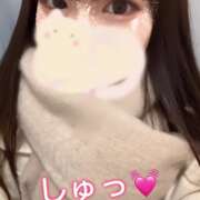 ヒメ日記 2025/02/21 12:16 投稿 ヒマリ エピソード(品川)