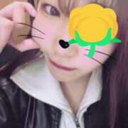 ヒメ日記 2025/02/24 00:01 投稿 ヒマリ エピソード(品川)