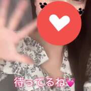 ヒメ日記 2025/03/09 00:01 投稿 ヒマリ エピソード(品川)