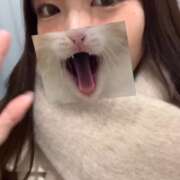 ヒメ日記 2025/03/28 13:01 投稿 ヒマリ エピソード(品川)