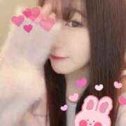 ヒメ日記 2025/04/16 11:46 投稿 ヒマリ エピソード(品川)