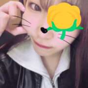 ヒメ日記 2025/04/19 23:16 投稿 ヒマリ エピソード(品川)