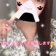 ヒメ日記 2025/05/14 11:16 投稿 ヒマリ エピソード(品川)