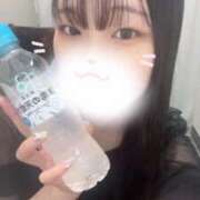 ヒメ日記 2025/05/14 12:16 投稿 ヒマリ エピソード(品川)