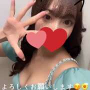 ヒメ日記 2025/05/23 12:01 投稿 ヒマリ エピソード(品川)