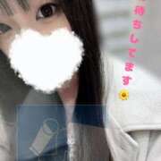 ヒメ日記 2025/05/25 00:16 投稿 ヒマリ エピソード(品川)