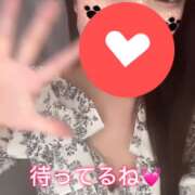 ヒメ日記 2025/06/08 23:46 投稿 ヒマリ エピソード(品川)