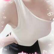 ヒメ日記 2025/07/13 02:46 投稿 ヒマリ エピソード(品川)