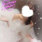 ヒメ日記 2025/07/13 20:01 投稿 ヒマリ エピソード(品川)