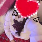 ヒメ日記 2025/07/24 21:31 投稿 ヒマリ エピソード(品川)