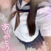 ヒメ日記 2025/08/31 11:31 投稿 ヒマリ エピソード(品川)