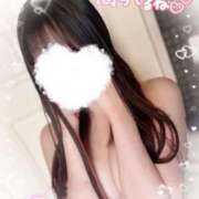 ヒメ日記 2025/11/05 12:46 投稿 ヒマリ エピソード(品川)