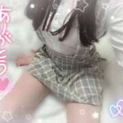 ヒメ日記 2025/11/10 23:16 投稿 ヒマリ エピソード(品川)