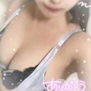 ヒメ日記 2025/11/26 02:31 投稿 ヒマリ エピソード(品川)