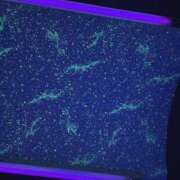 ヒメ日記 2024/12/30 02:30 投稿 シリ 加古川10,000円ポッキー