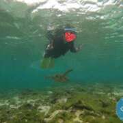 ヒメ日記 2025/02/16 16:48 投稿 猫山みか 性感回春アロマSPA金沢店