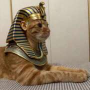 ヒメ日記 2025/11/22 01:57 投稿 猫山みか 性感回春アロマSPA金沢店