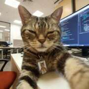 ヒメ日記 2025/11/22 02:39 投稿 猫山みか 性感回春アロマSPA金沢店