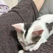 ヒメ日記 2025/04/20 18:34 投稿 あゆ LOVE CLOVER（らぶくろーばー）