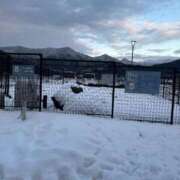 ヒメ日記 2025/01/11 21:51 投稿 桜木　みさ ホットポイントヴィラ