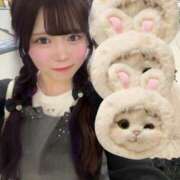 ヒメ日記 2025/06/26 00:42 投稿 ゆめ E+アイドルスクール品川店