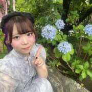 ヒメ日記 2025/06/29 01:02 投稿 ゆめ E+アイドルスクール品川店