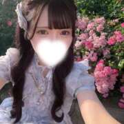 ヒメ日記 2026/06/01 23:50 投稿 ゆめ E+アイドルスクール品川店