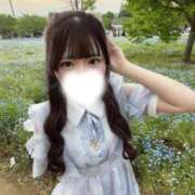 ヒメ日記 2026/06/04 03:17 投稿 ゆめ E+アイドルスクール品川店