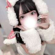 ヒメ日記 2025/03/11 07:22 投稿 もね E+アイドルスクール品川店