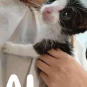 ヒメ日記 2025/02/27 16:30 投稿 あい 谷町秘密倶楽部