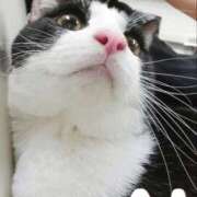 ヒメ日記 2025/03/05 23:00 投稿 あい 谷町秘密倶楽部