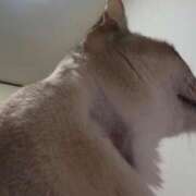 ヒメ日記 2025/12/18 21:45 投稿 かすみ 花火-hanabi-(すすきの)