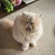 かすみ ごめんなさい 花火-hanabi-(すすきの)