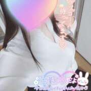 ヒメ日記 2024/12/22 14:04 投稿 まひろ タレント倶楽部アダルト